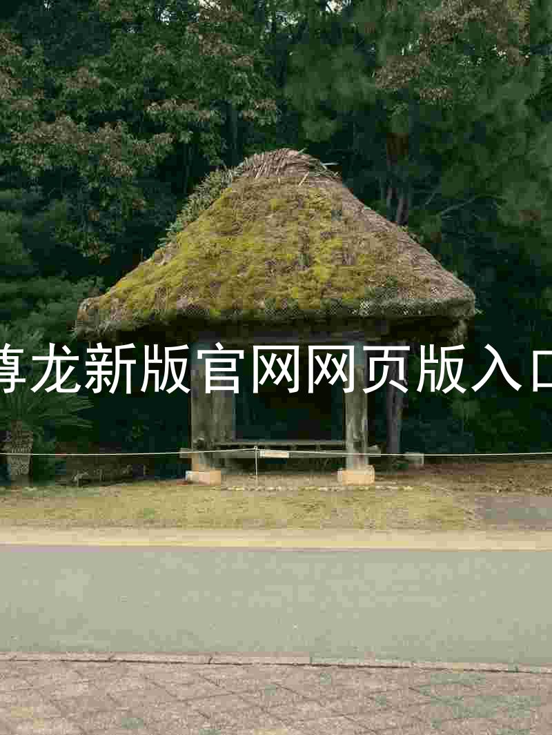 尊龙新版官网网页版入口