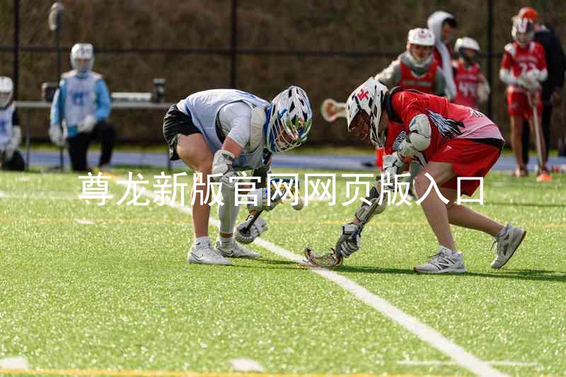 尊龙新版官网网页版入口